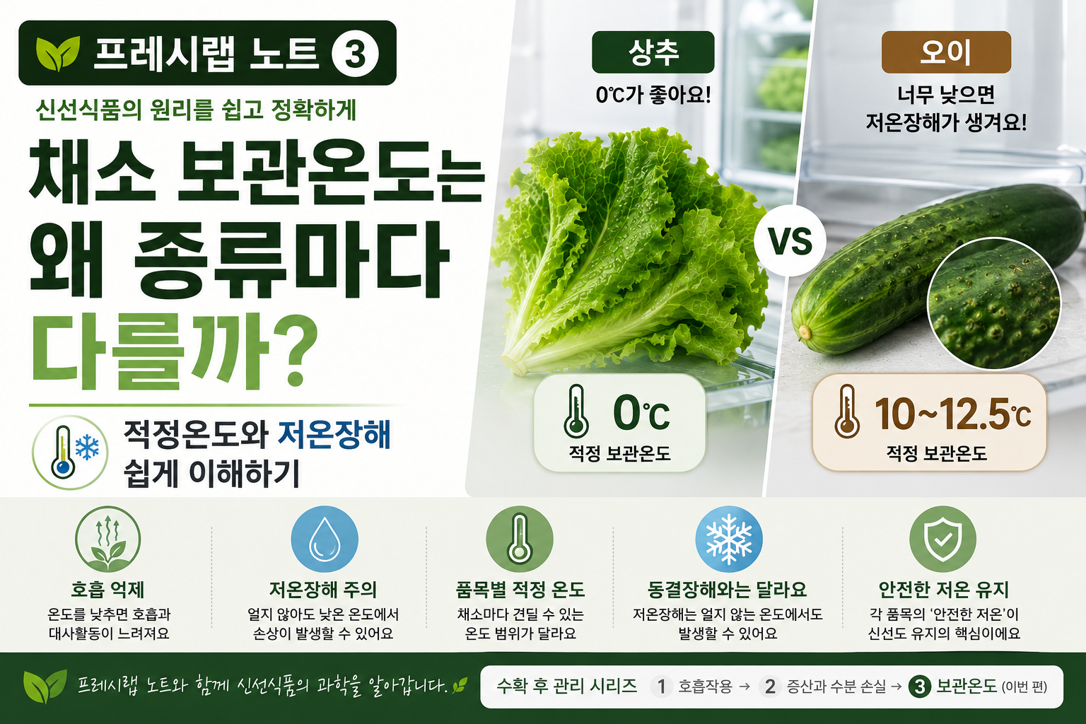 채소보관온도는 종류마다 왜 다를까