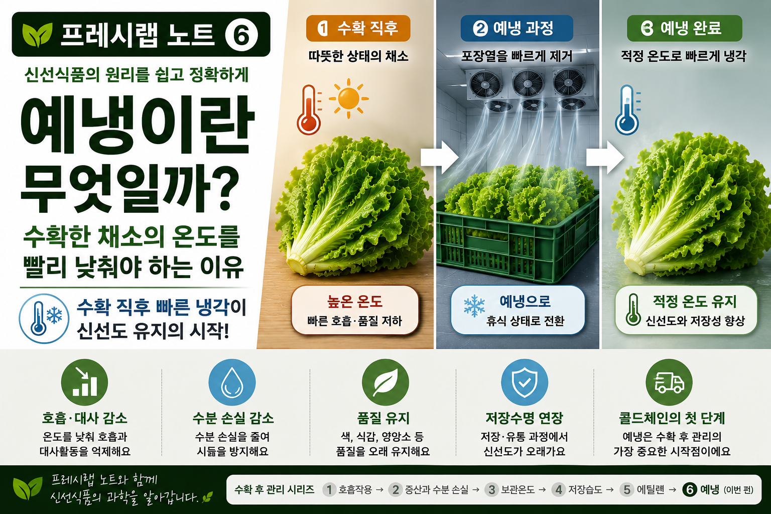 예냉으로 지키는 채소의 신선도