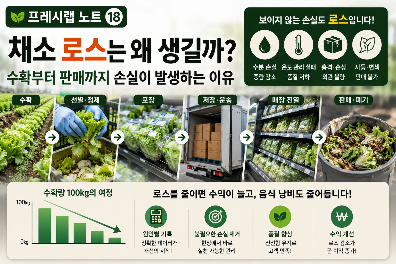 채소 로스의 여정과 줄이는 방법