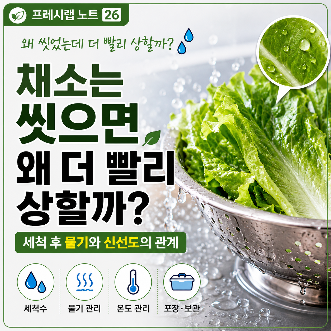 씻은 채소가 빨리 상하는 이유