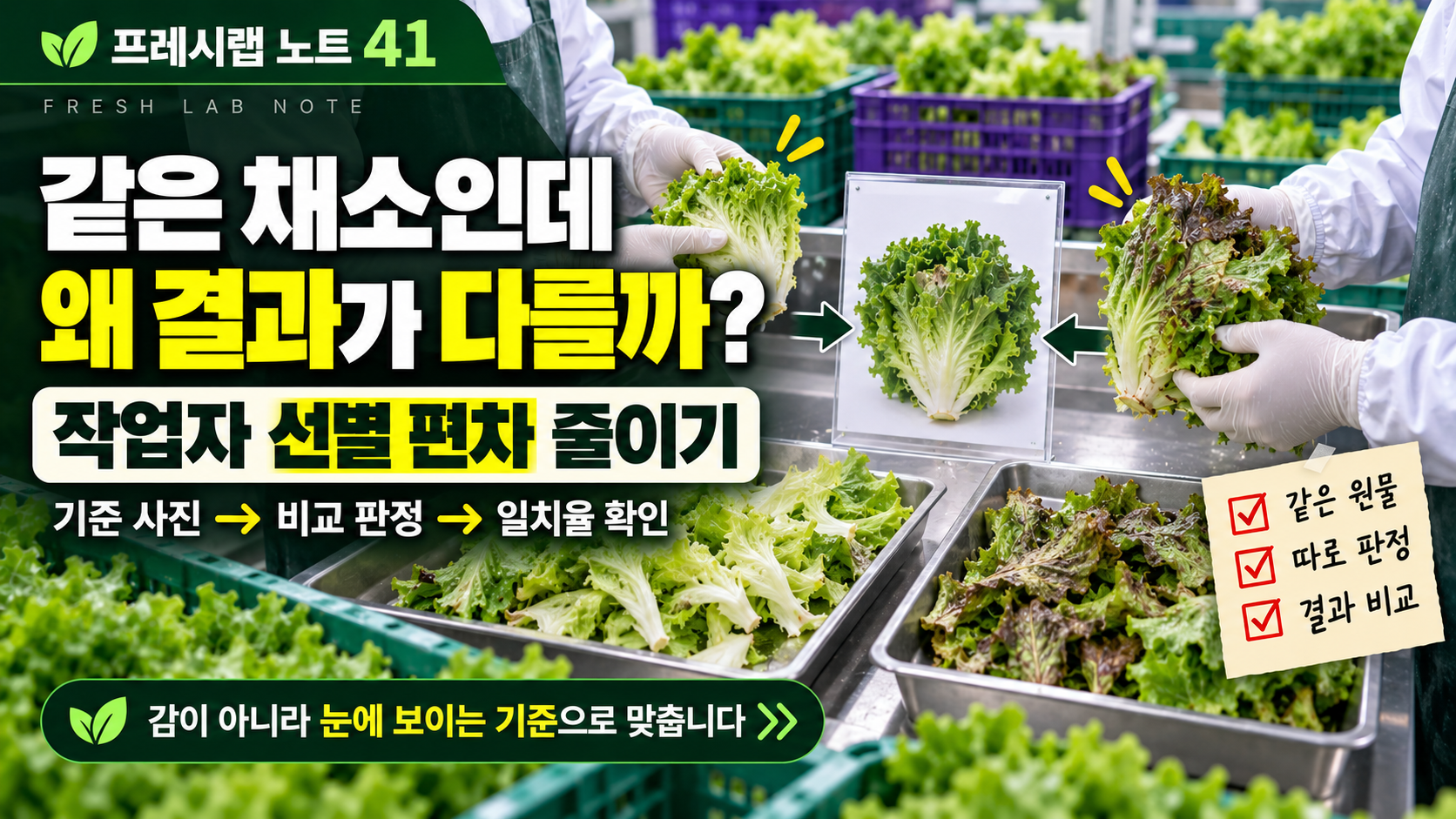 두 작업자, 하나의 선별 기준