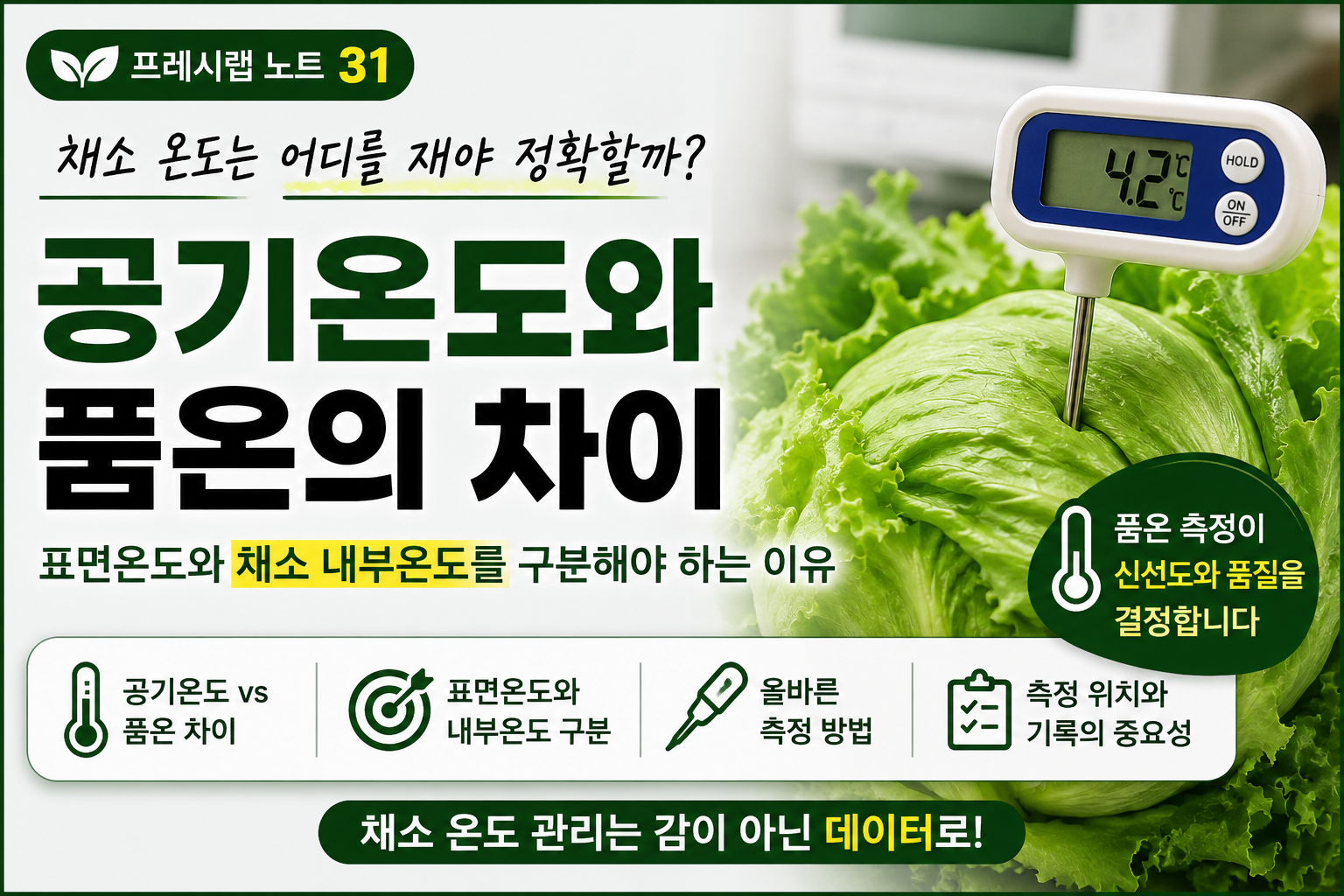 채소 온도 측정 완벽 가이드