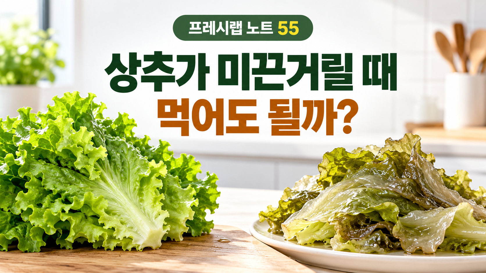 상추가 미끈거릴 때 먹어도 되는 상태와 버려야 하는 상태