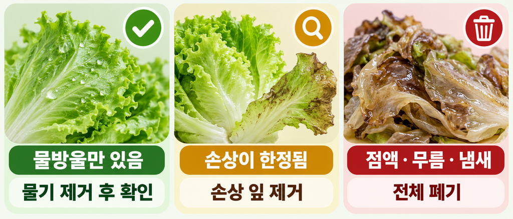 상추 무름과 미끈거림을 줄이는 냉장 보관 점검 순서