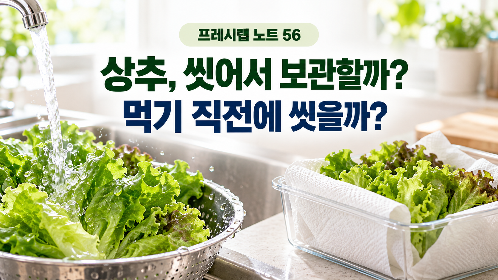 상추를 씻어서 보관할지 먹기 직전에 씻을지 비교